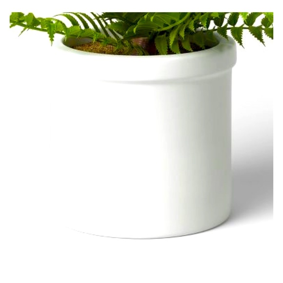 BRAND NEW!  Small Boston Fern - Threshold - Picture 4 of 4